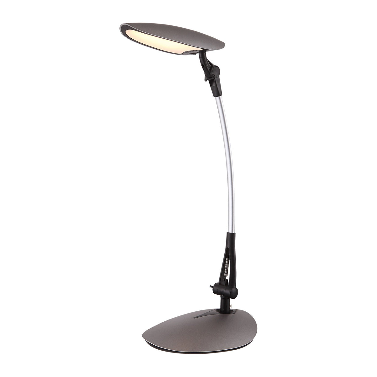Lampe à poser anthracite et argentée, vue de trois quarts sur fond blanc, tête ovale orientable.