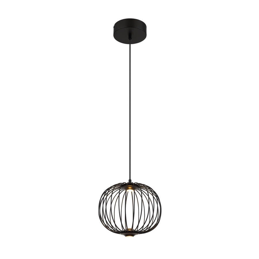 Vue de face du luminaire suspendu noir sur fond blanc, câble et rosace visibles