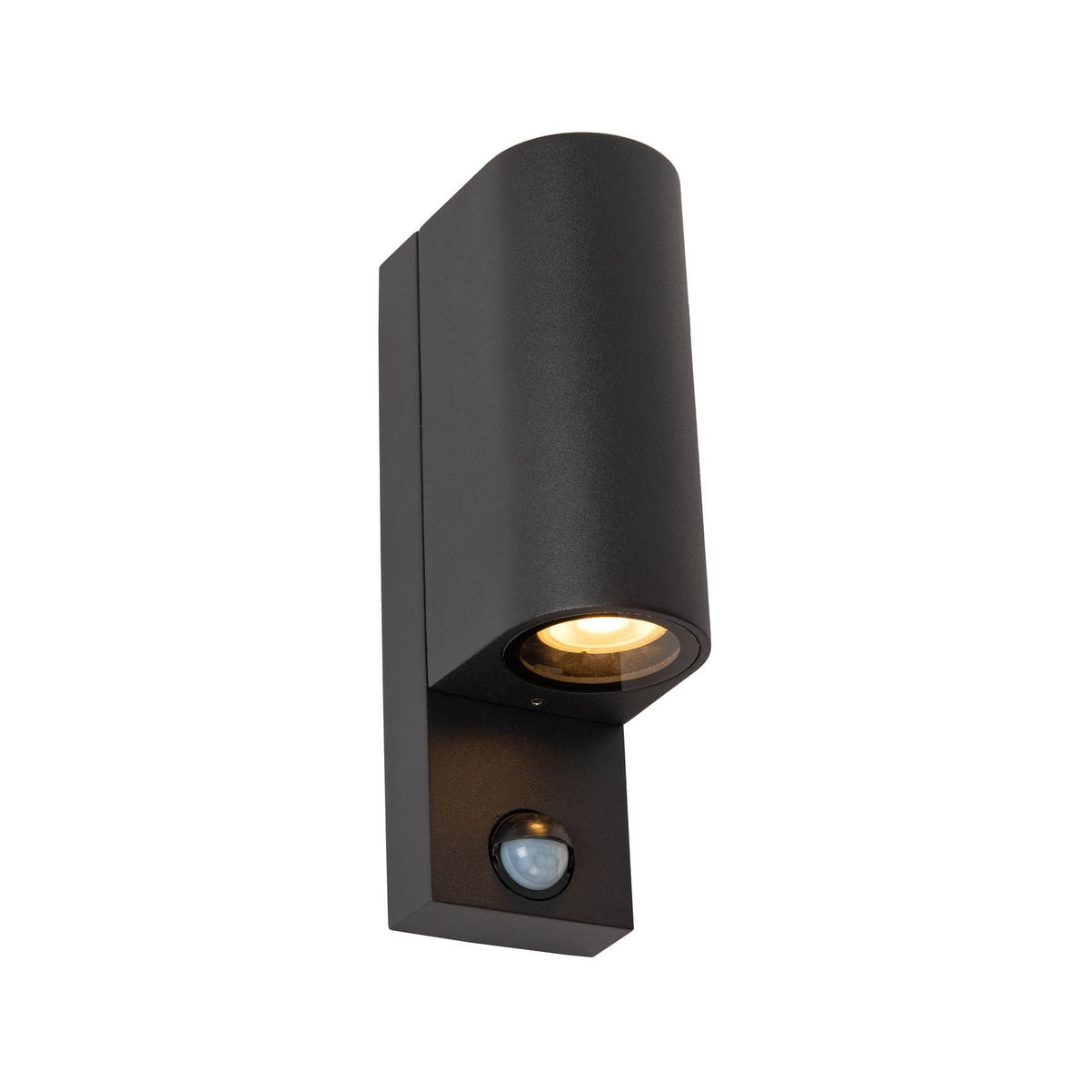 Applique extérieure Zaro IR 2 lumières noire (69803/02/30)