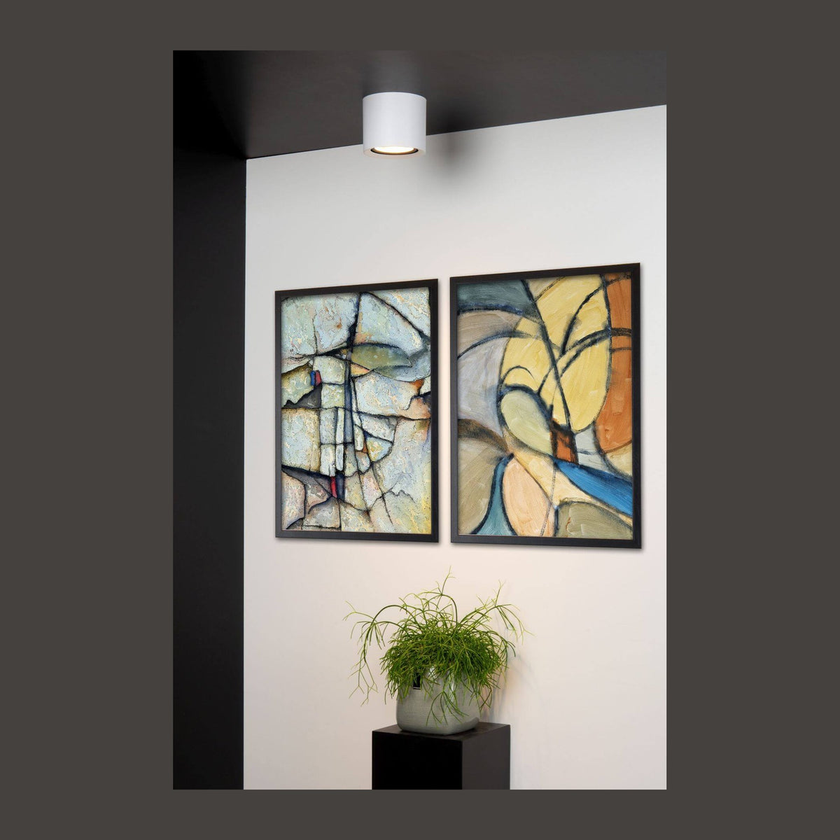 Plafonnier blanc cylindrique fixé au plafond au-dessus de deux tableaux encadrés