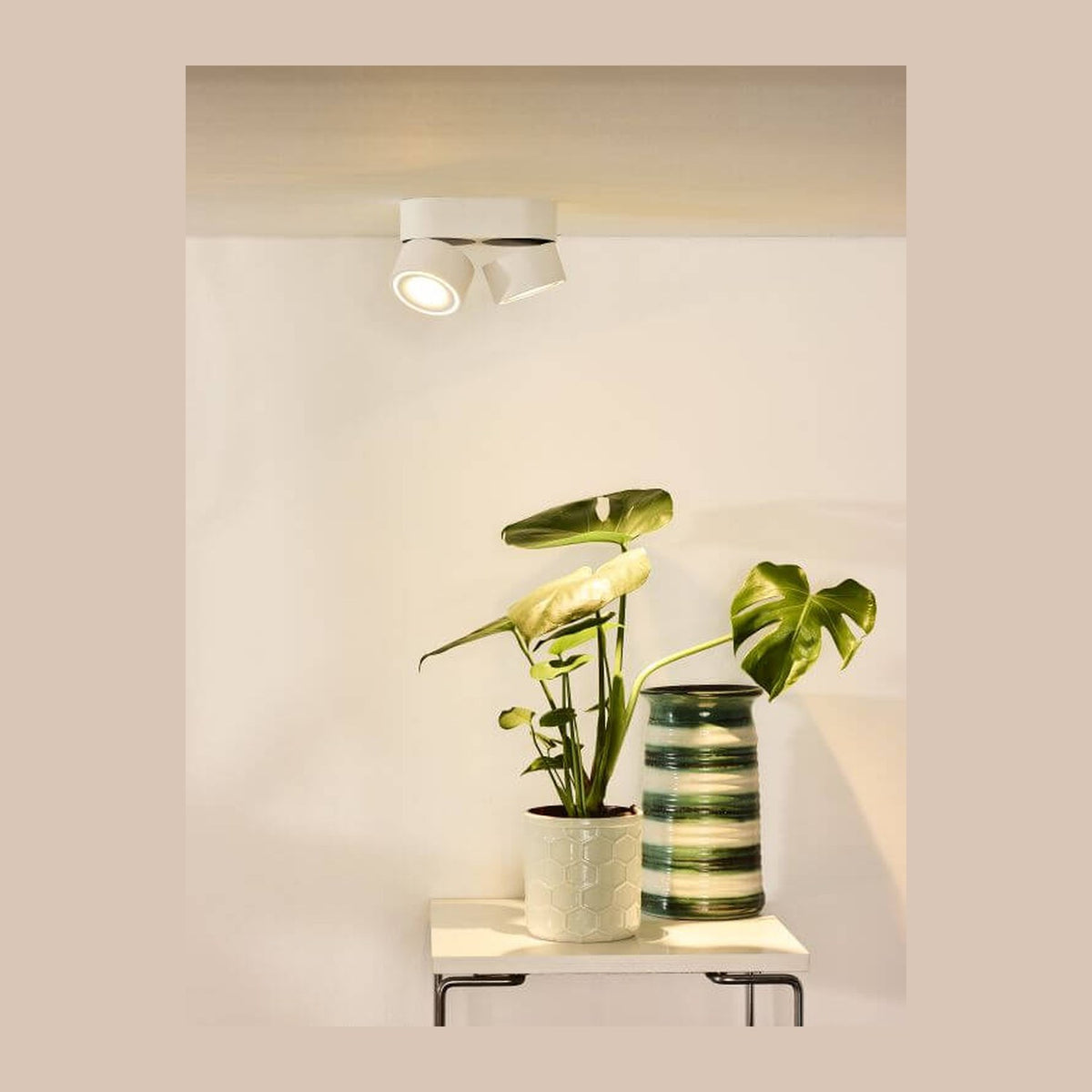Mise en ambiance du plafonnier blanc allumé au-dessus d'une plante verte