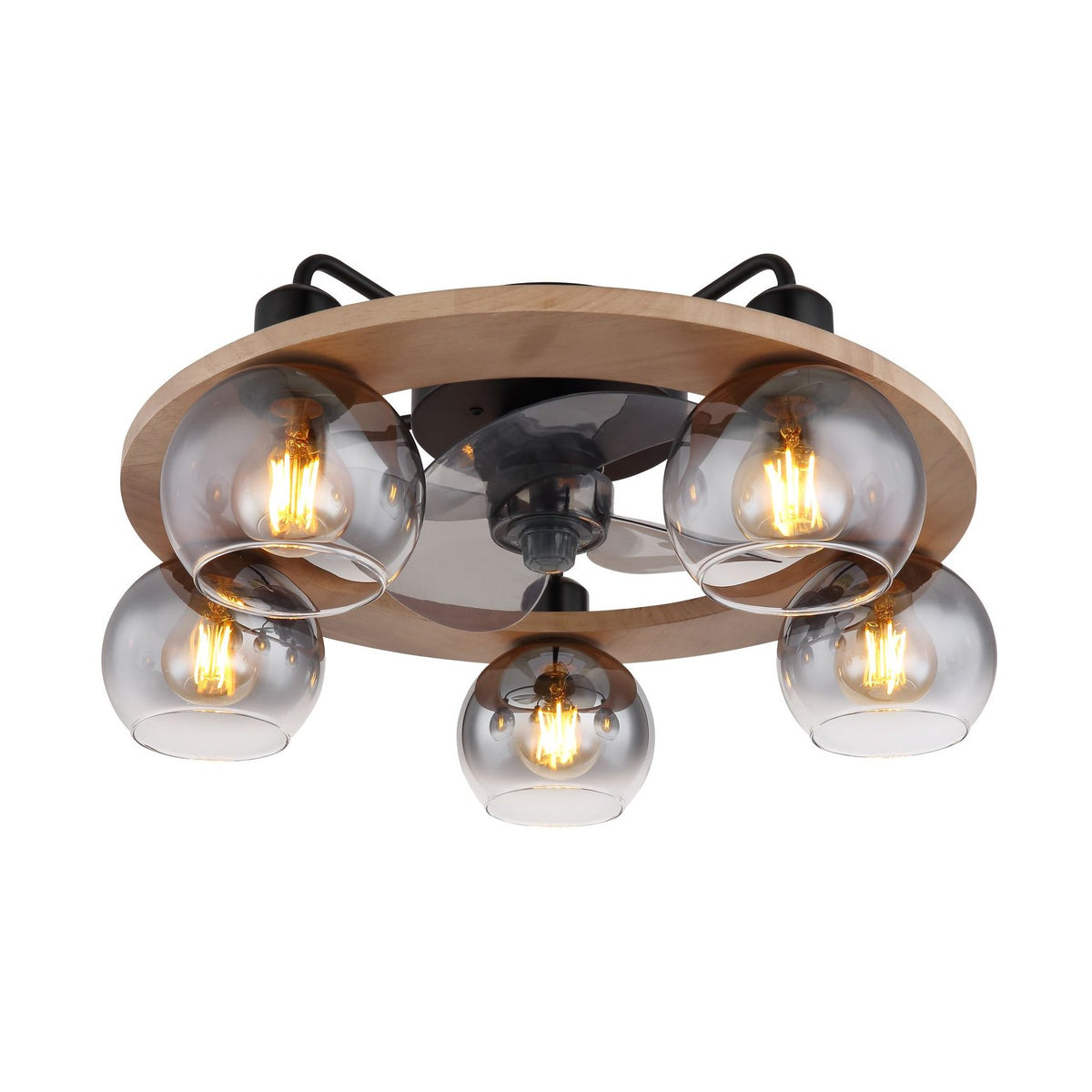 Ventilateur de plafond lumineux Lamotta noir mat