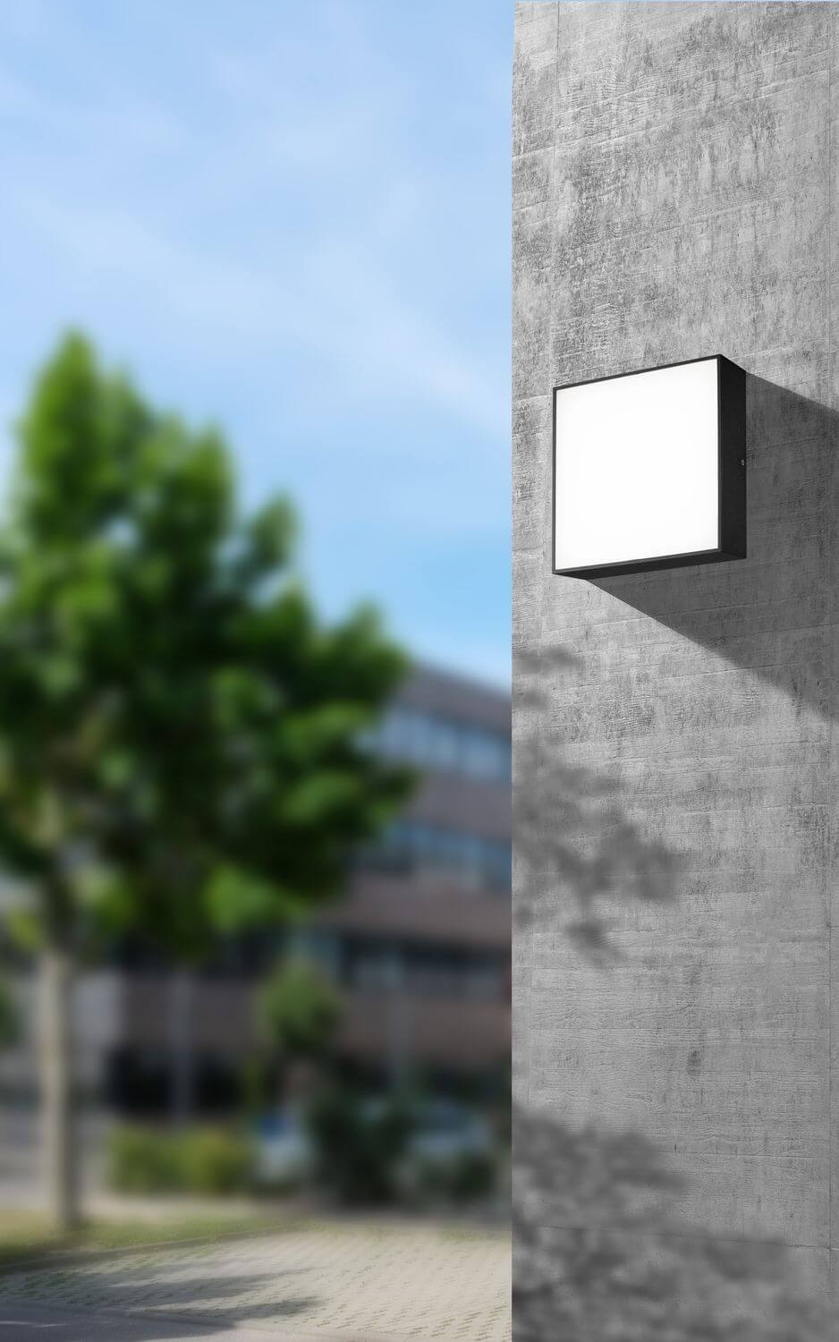 Applique extérieure anthracite installée sur un mur béton, en situation urbaine.