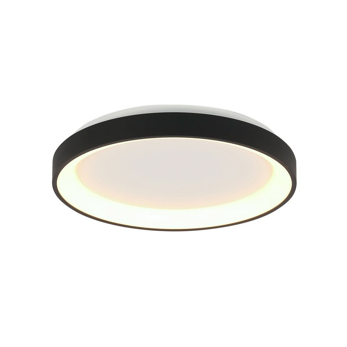 Plafonnier Ringlede noir