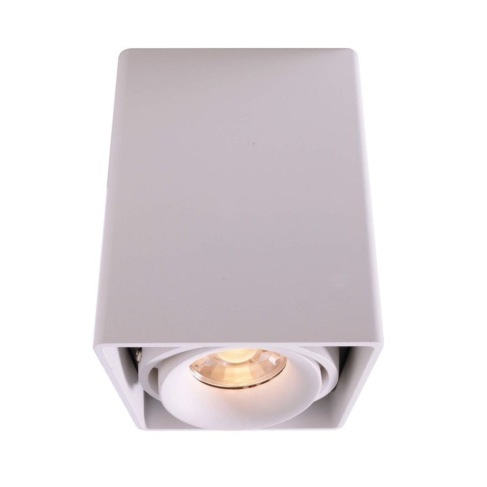 Spot blanc rectangulaire vu de face, tête ronde orientable et LED allumée.