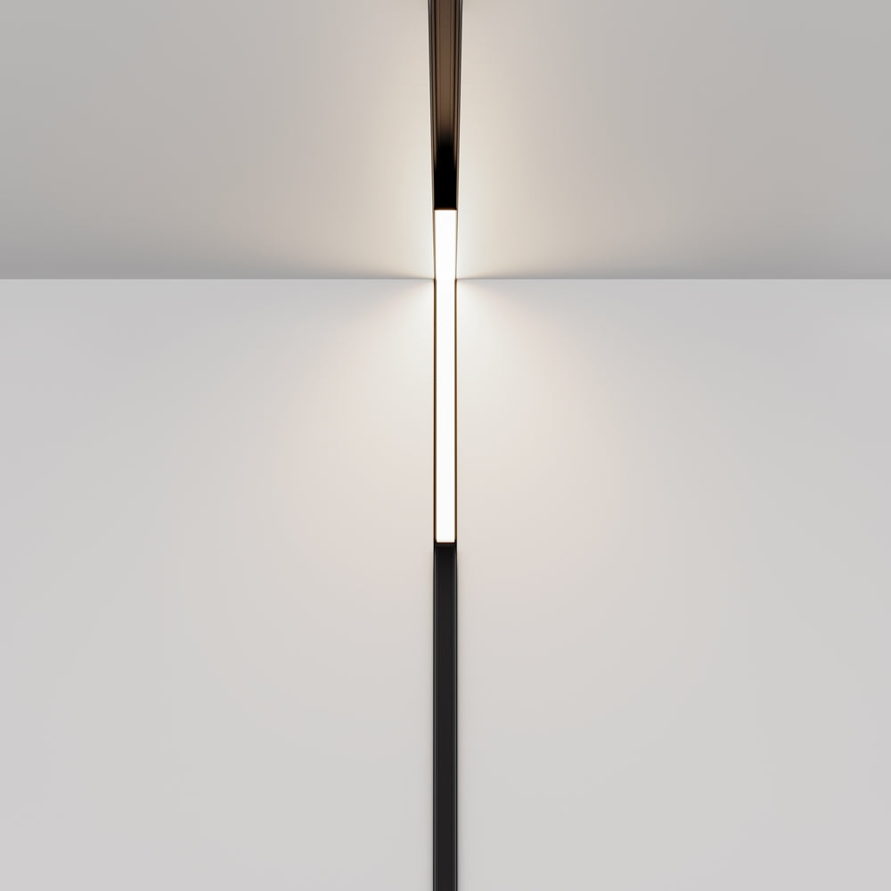 Basis Spot noir