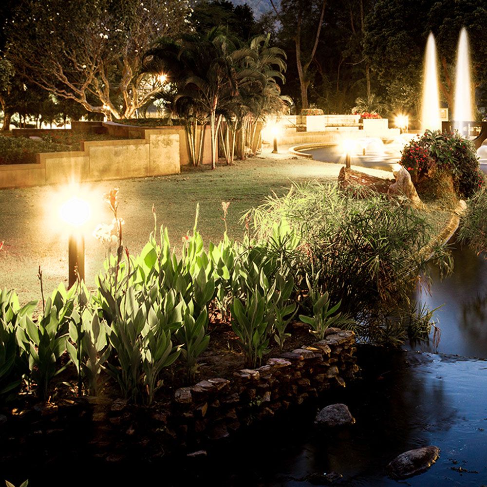 Mise en ambiance nocturne d’un jardin avec borne lumineuse éclairant des plantes près d’un bassin.