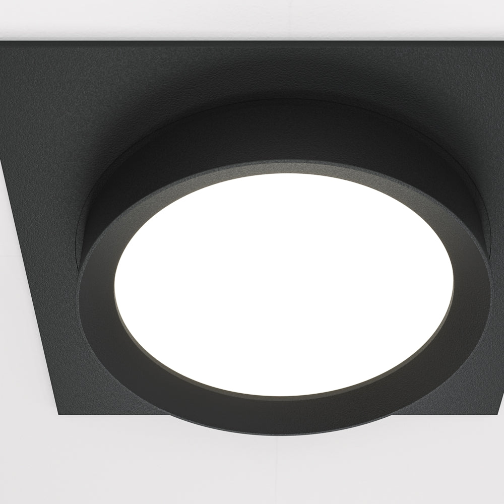 Hoop Spot noir