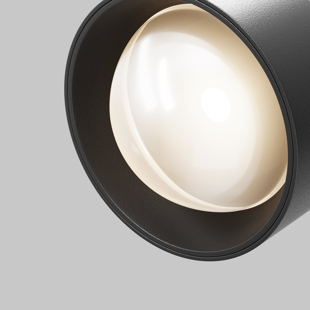 Lens Spot noir