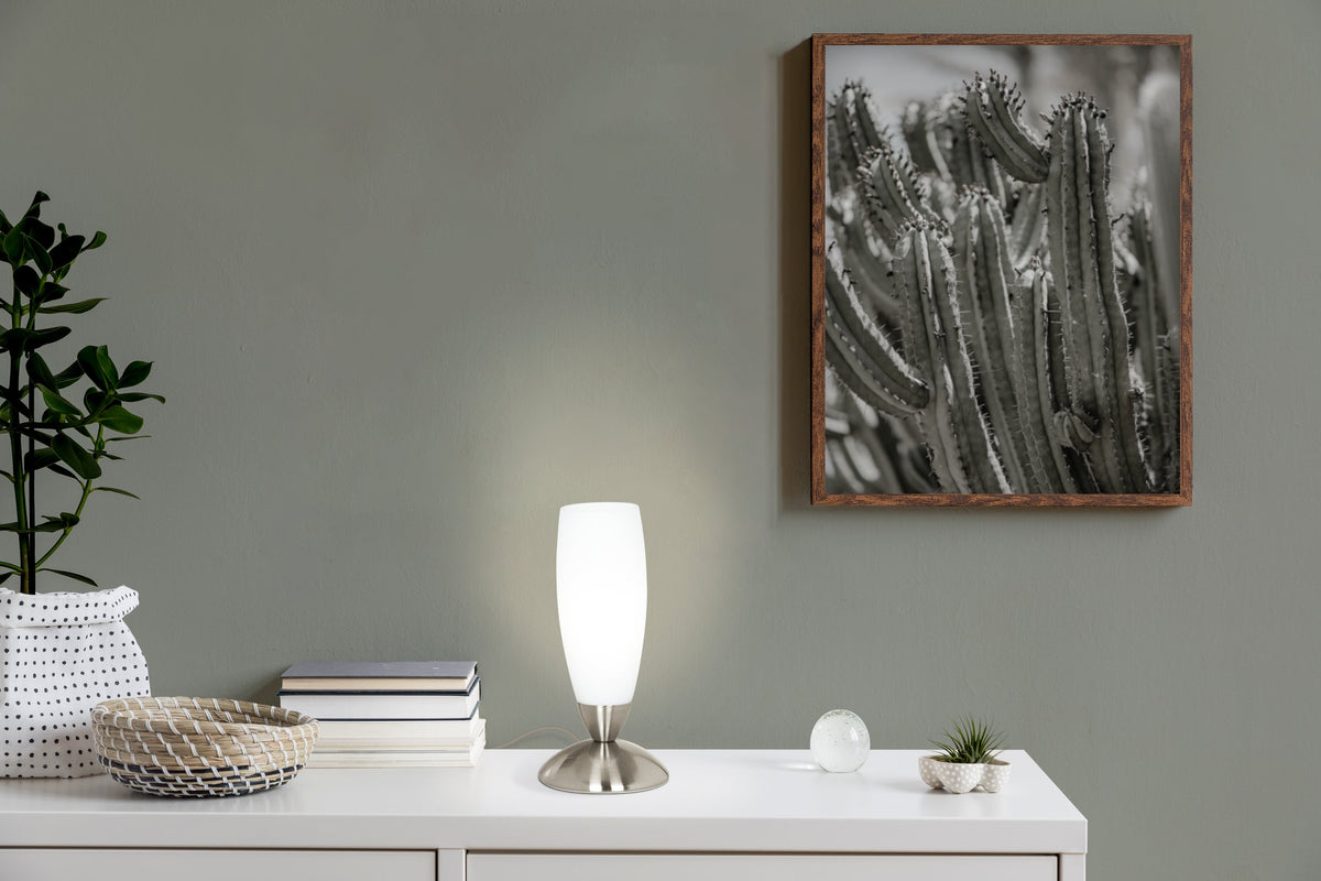 Lampe allumée posée sur un meuble blanc, avec livres, plante et cadre cactus