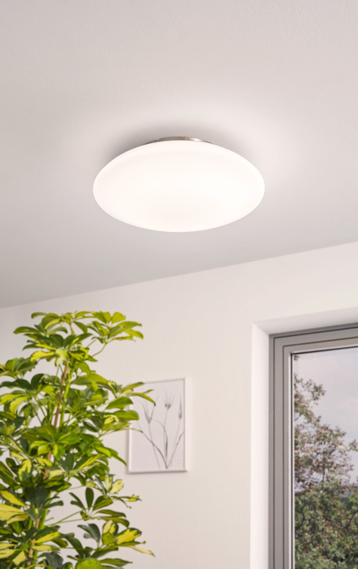 Plafonnier allumé fixé au plafond blanc, près d'une plante verte et d'une fenêtre.