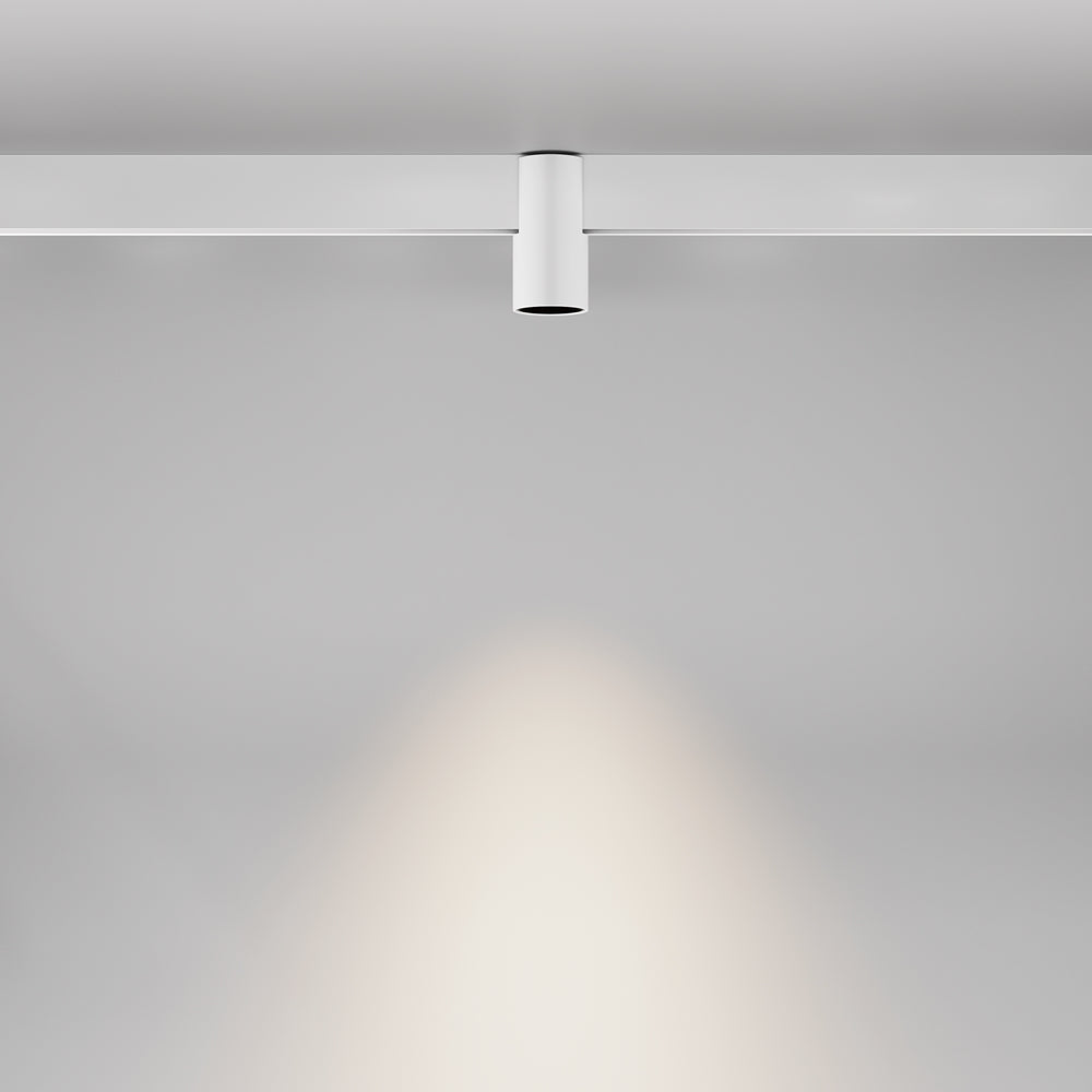 Alfa Spot noir