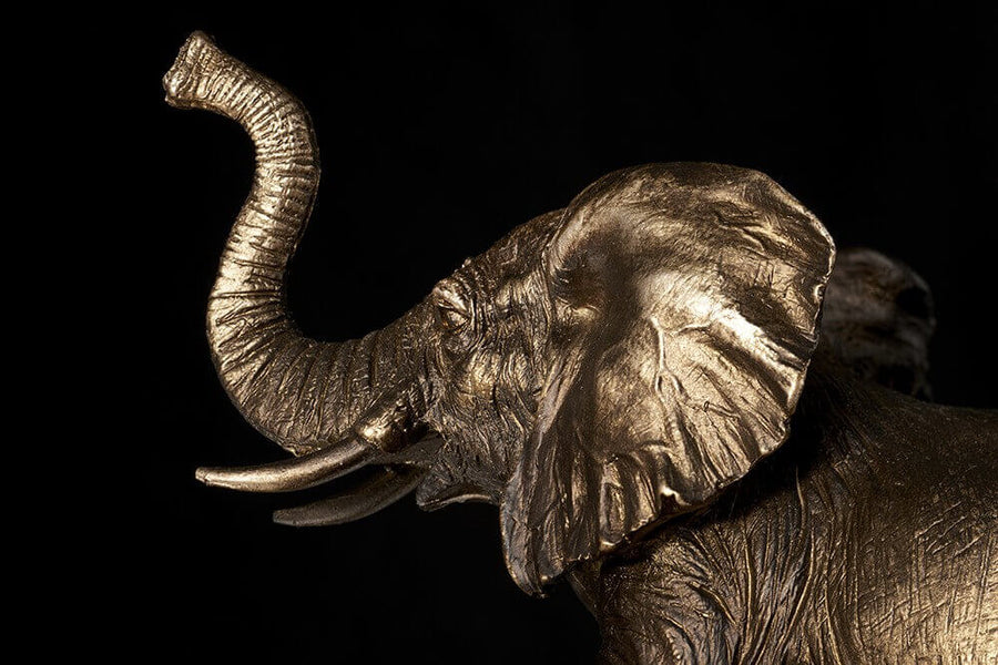 Détail de la tête de l'éléphant en bronze, trompe levée et défenses apparentes sur fond noir.