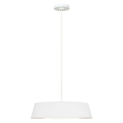 Suspension luminaire | Asher Blanche