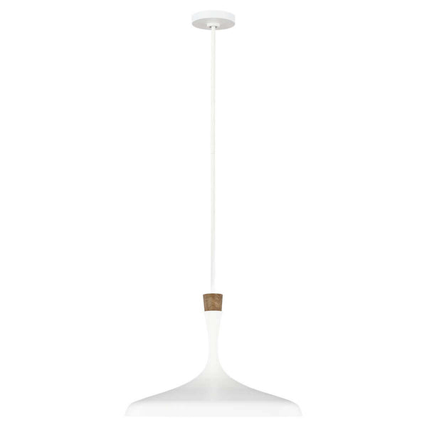 Suspension luminaire | Darwin