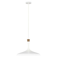 Suspension luminaire | Darwin