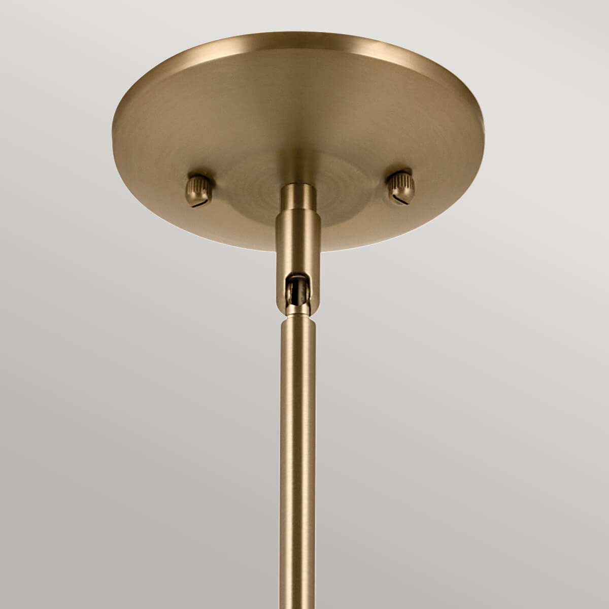 Détail de la rosace circulaire en bronze brossé avec vis apparentes