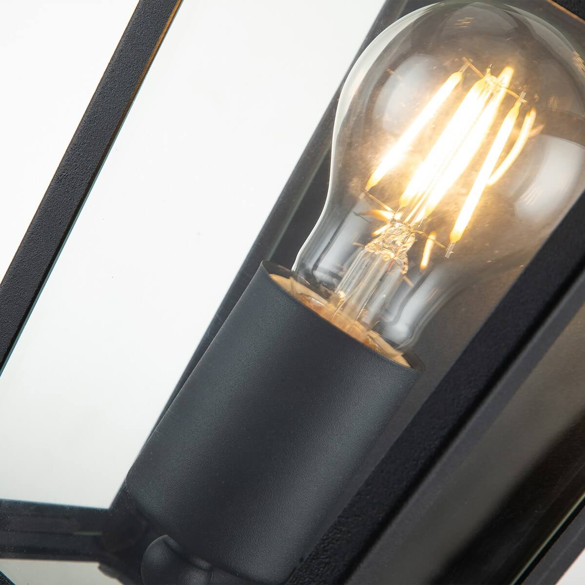 Applique extérieure Alford Place noire et transparente, verre