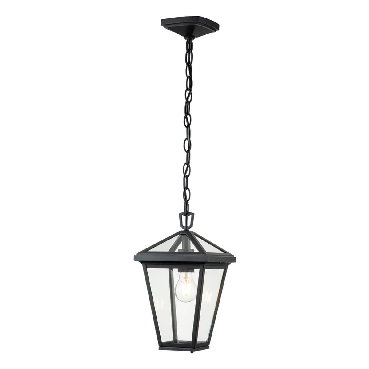 Suspension extérieure Alford Place noire et transparente, verre