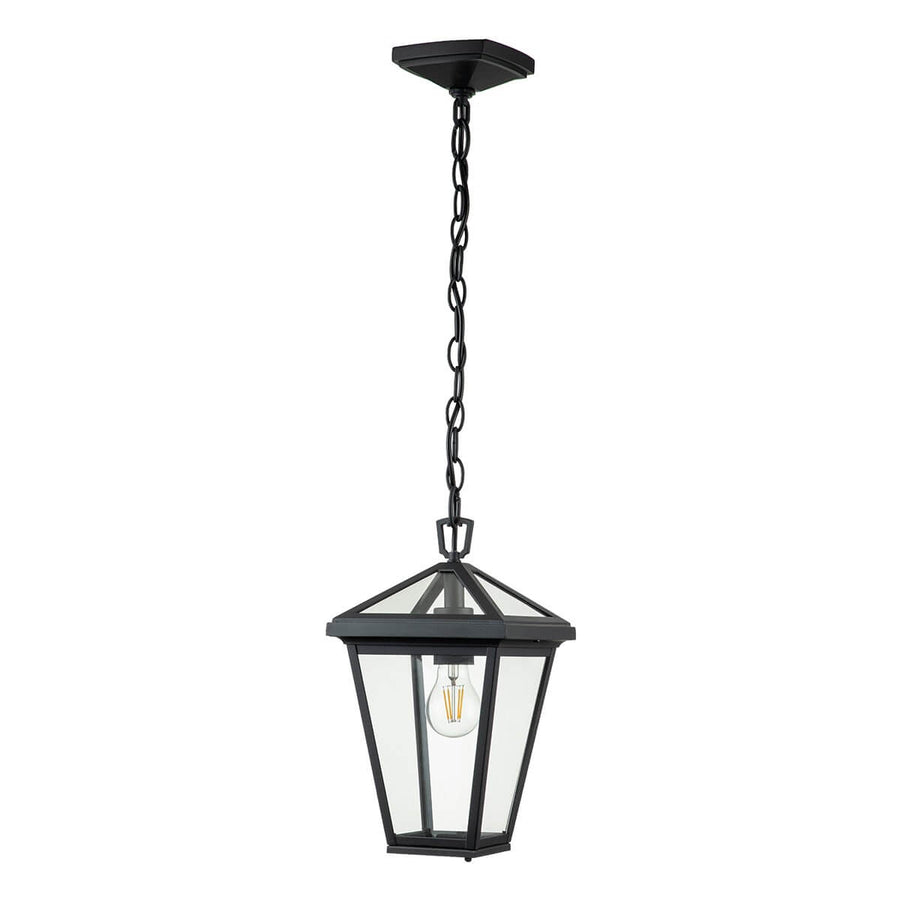 Suspension extérieure Alford Place noire et transparente, verre