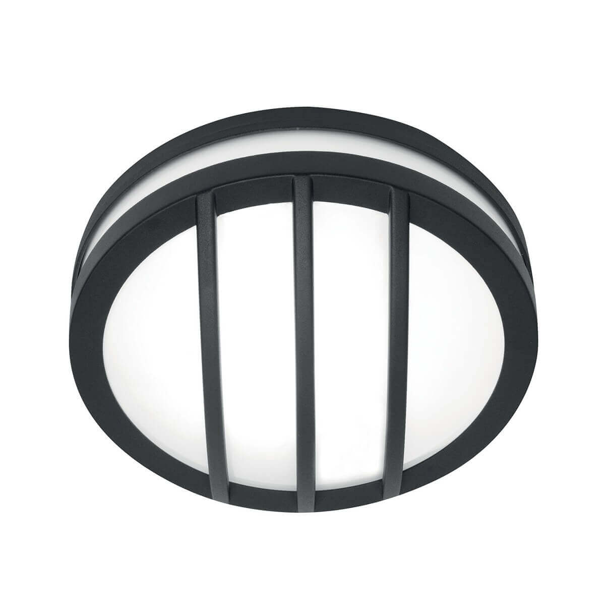 Vue de face de l'applique ovale anthracite avec grille horizontale et diffuseur blanc