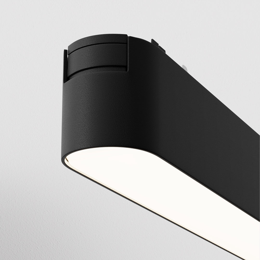 Basis Spot noir