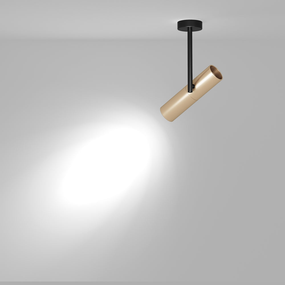 Elti Plafonnier noir