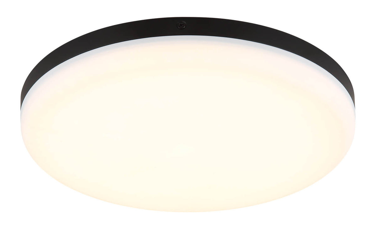 Vue rapprochée du cerclage métallique noir et du grand diffuseur blanc opale