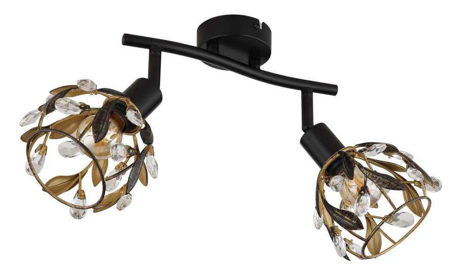 Vue de trois quarts montrant les deux spots orientables et leurs cages fleuries
