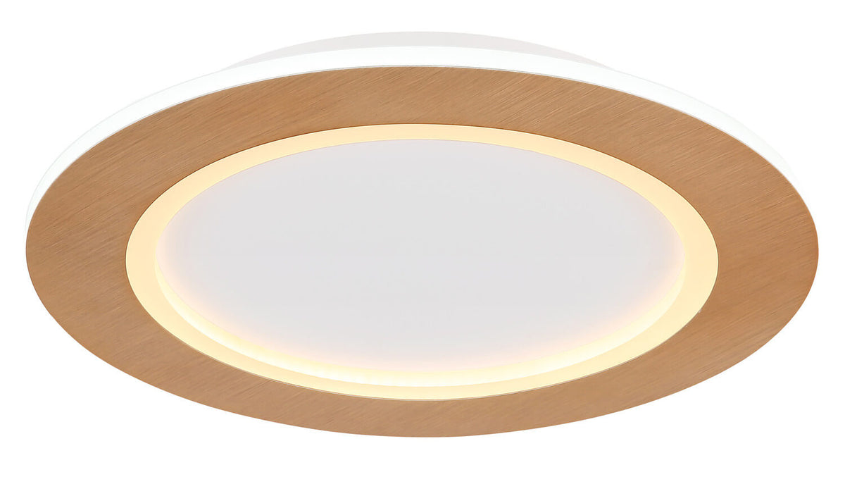 Vue rapprochée du diffuseur blanc et de l'anneau lumineux chaud