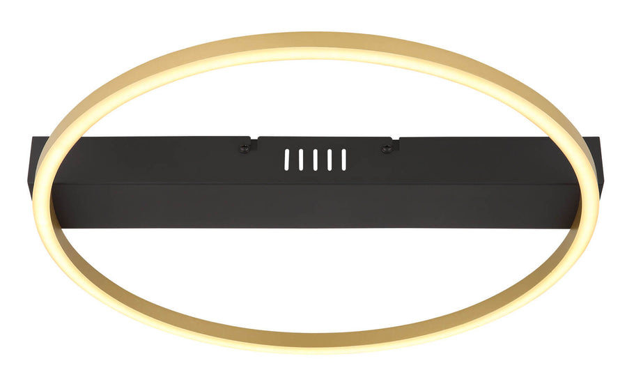 Vue de face du luminaire, anneau fin et diffuseur LED sur barre noire