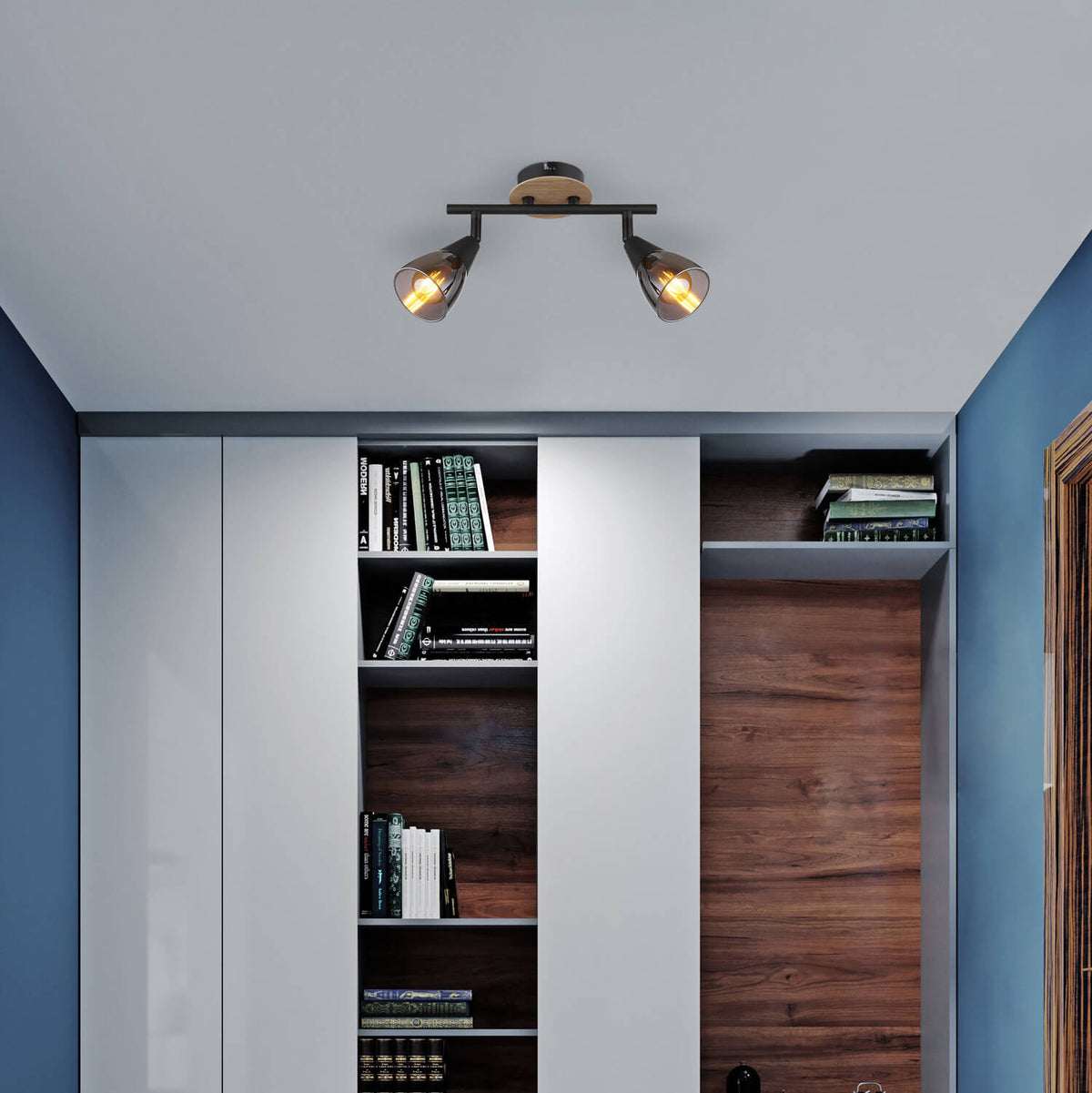 Mise en ambiance du spot plafonnier allumé au-dessus d'une bibliothèque dans un intérieur.