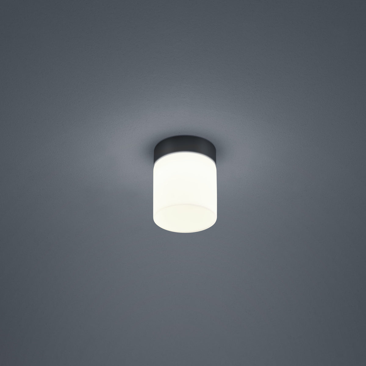 Plafonnier noir et diffuseur cylindrique blanc allumé, fixé au plafond.