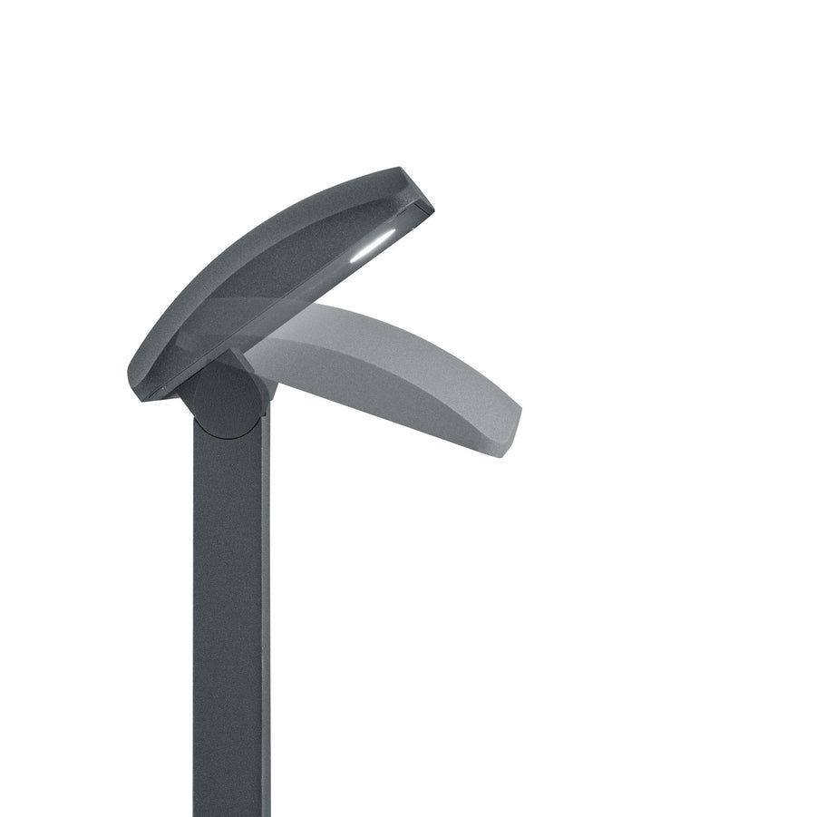 Détail de la tête recourbée et du module LED, finition anthracite texturée.