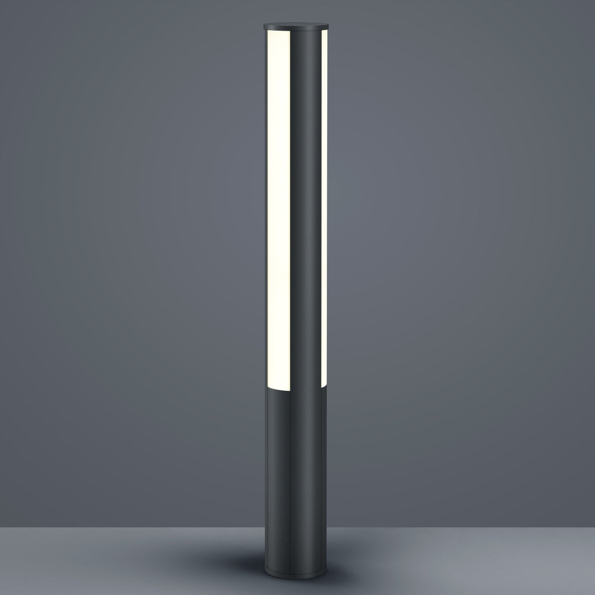Borne lumineuse cylindrique anthracite vue de face sur fond gris neutre