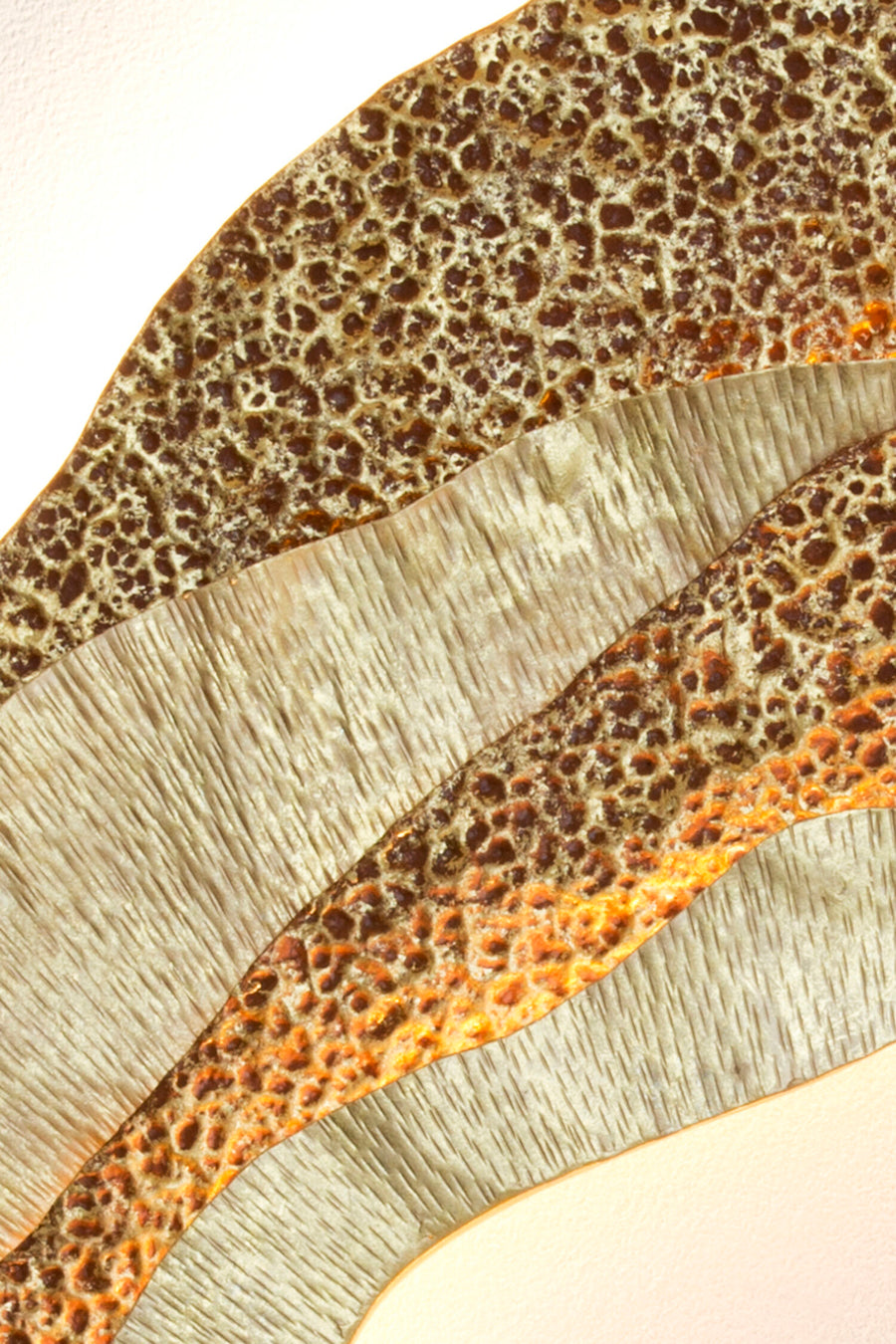 Applique murale Coral