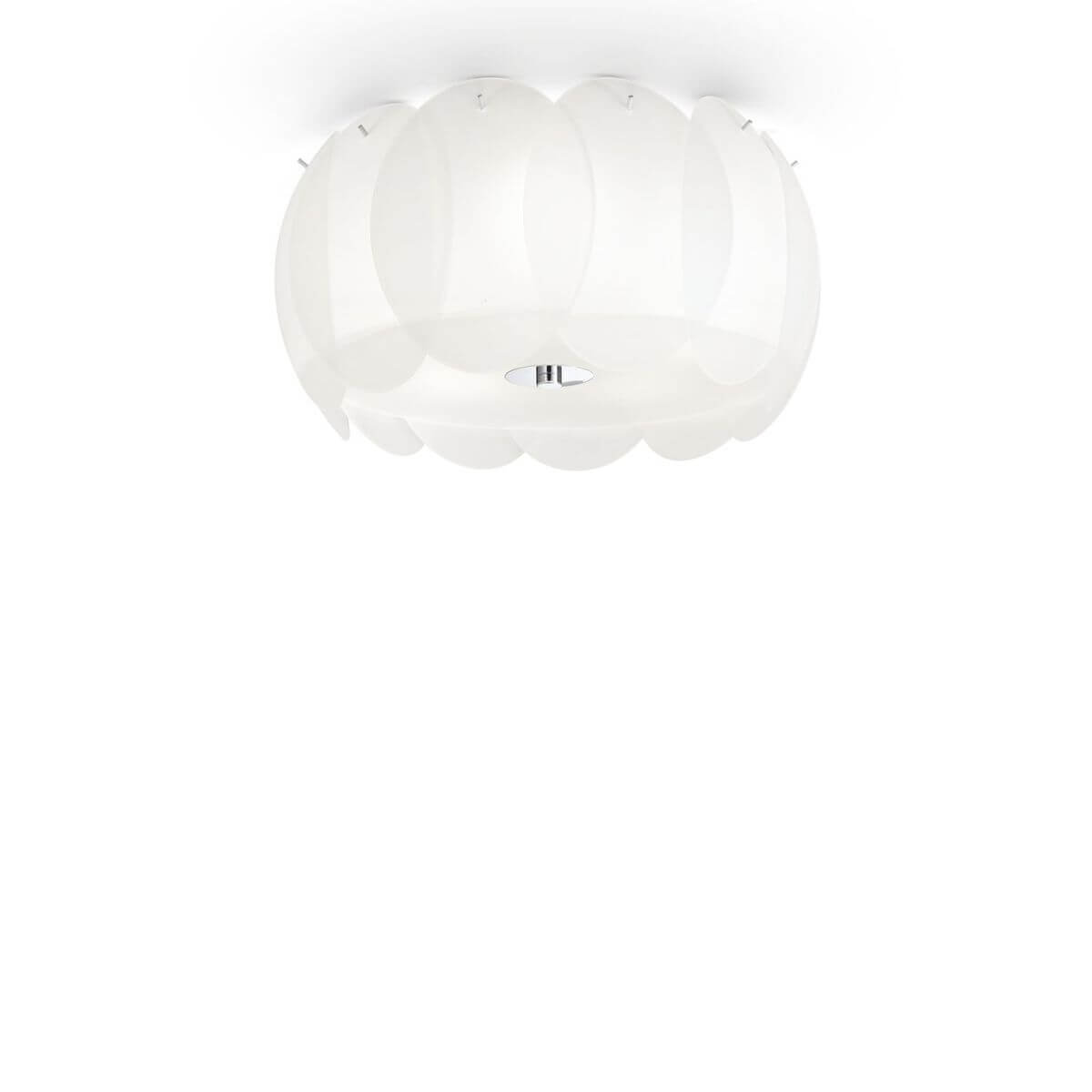 Plafonnier ovale blanc en verre, cinq diffuseurs, vue de face sur fond blanc.