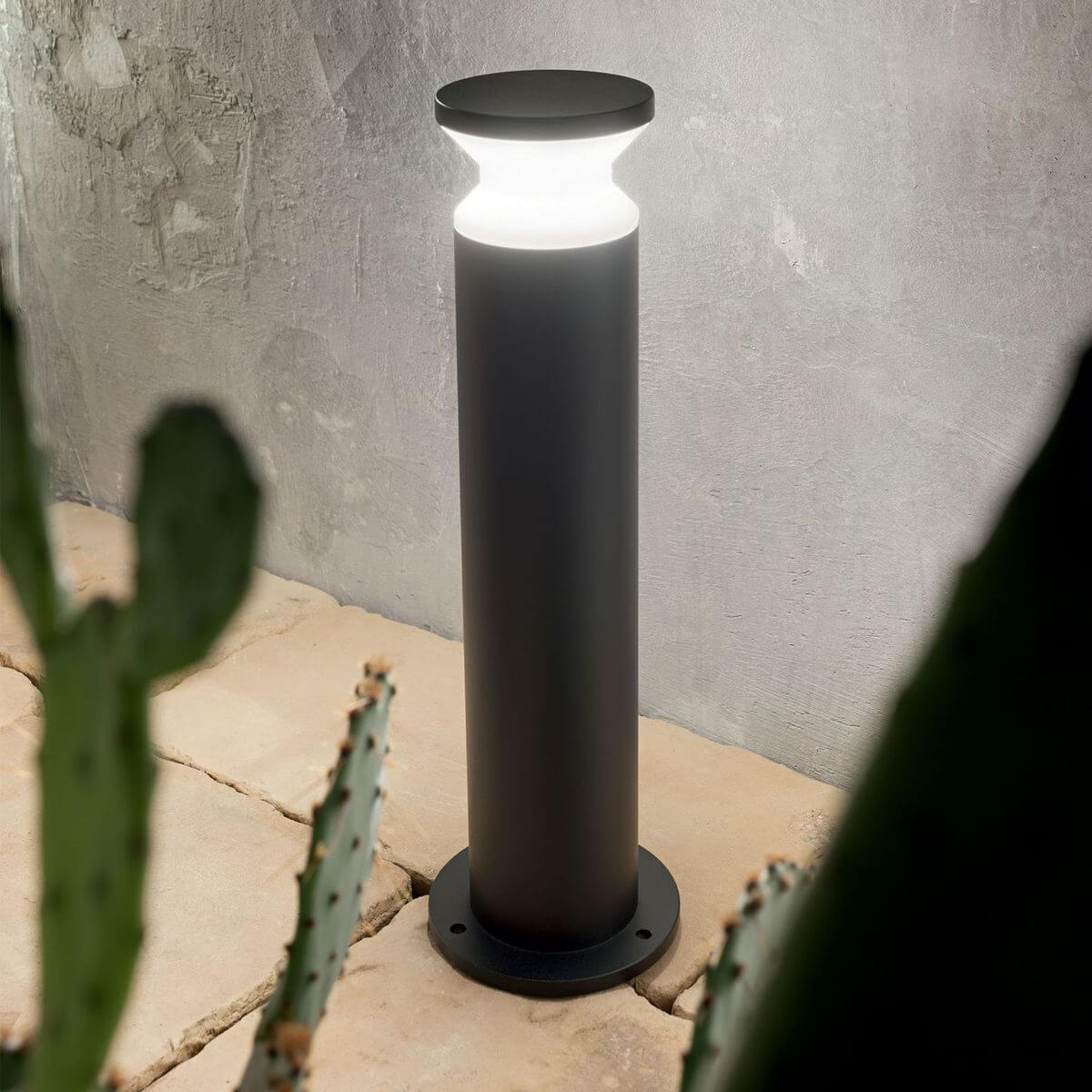Mise en ambiance nocturne du lampadaire allumé près d'un mur gris et de cactus