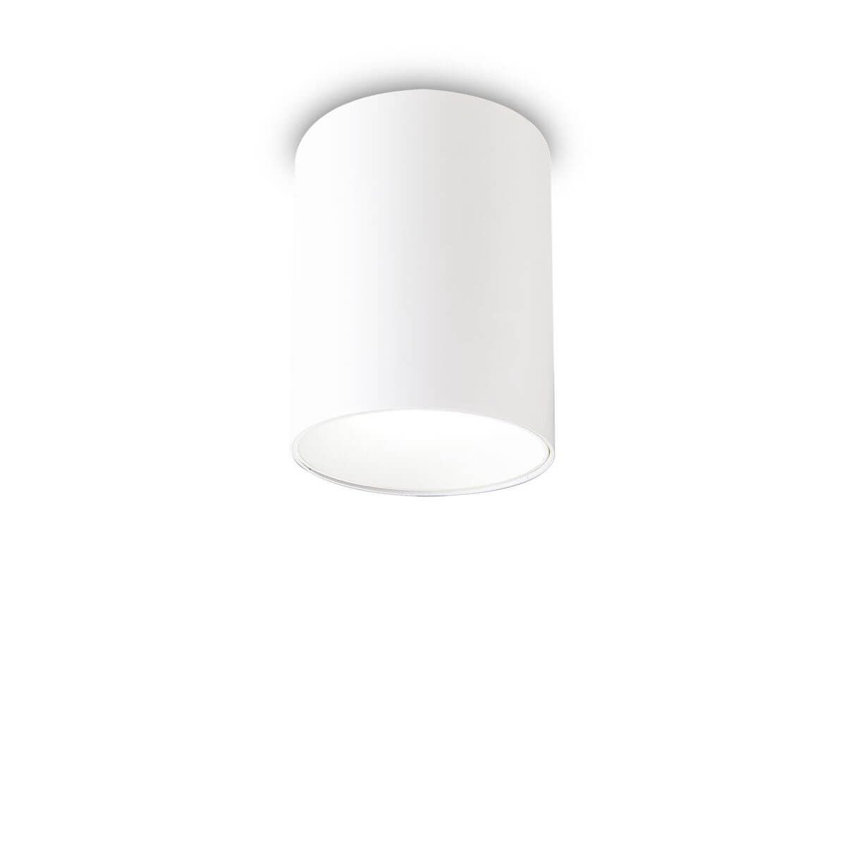 Plafonnier blanc cylindrique fixé au plafond, vu de face sur fond blanc.