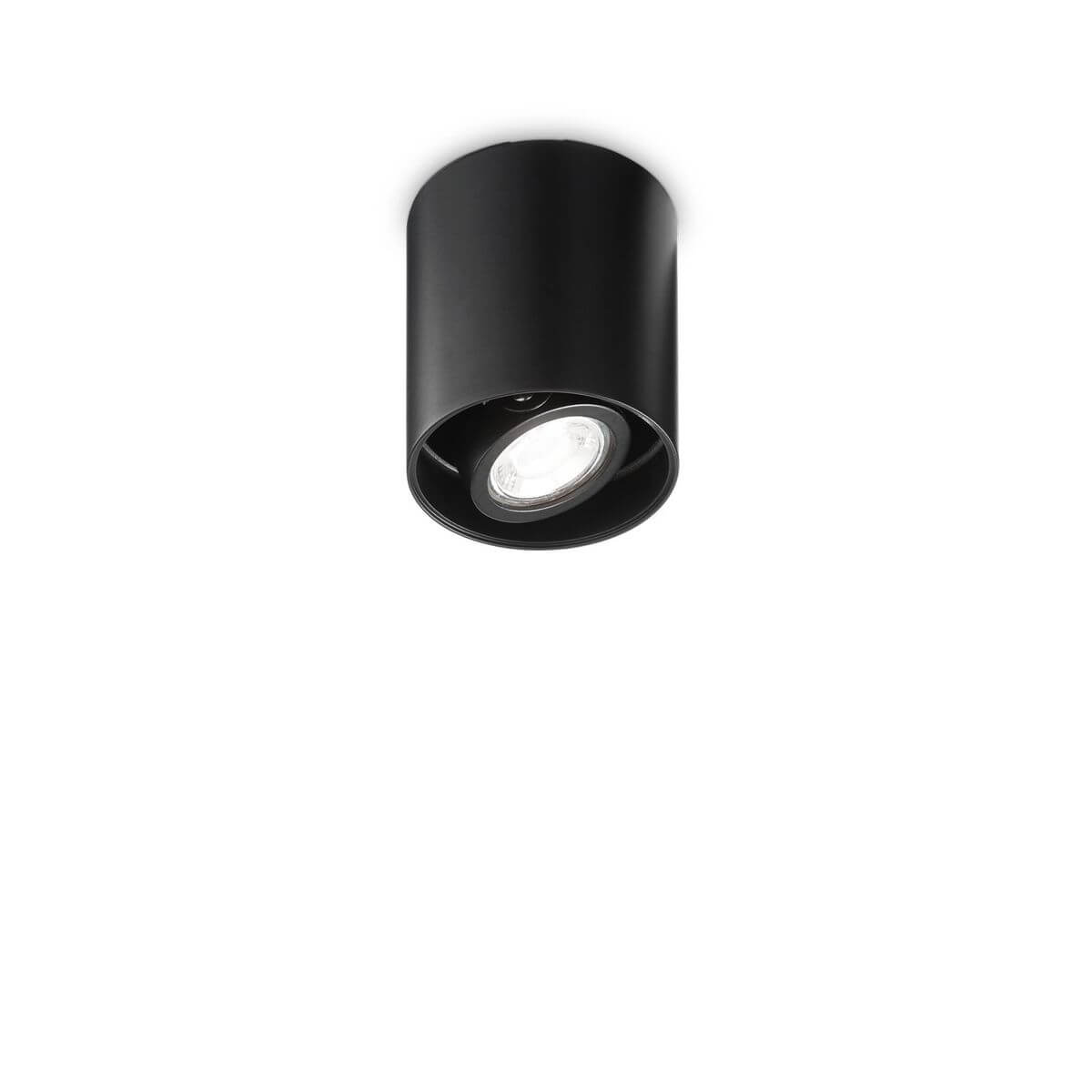 Plafonnier noir cylindrique vu de face, spot orientable allumé sur fond blanc uni