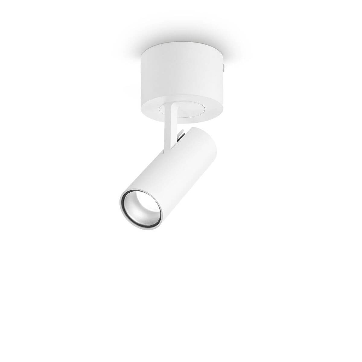 Plafonnier blanc orientable, projecteur cylindrique sur embase ronde fixée au plafond