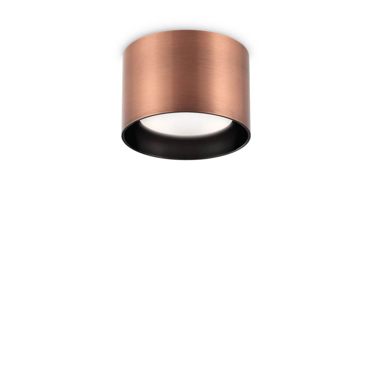 Plafonnier cylindrique en métal cuivré brossé, vu de face sur fond blanc
