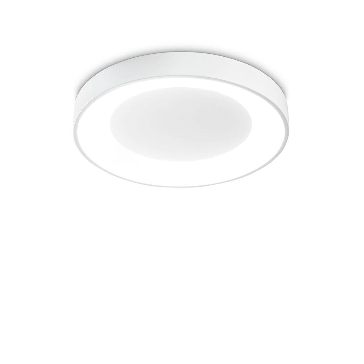 Plafonnier rond blanc vu de face, verre opalin et cerclage fin