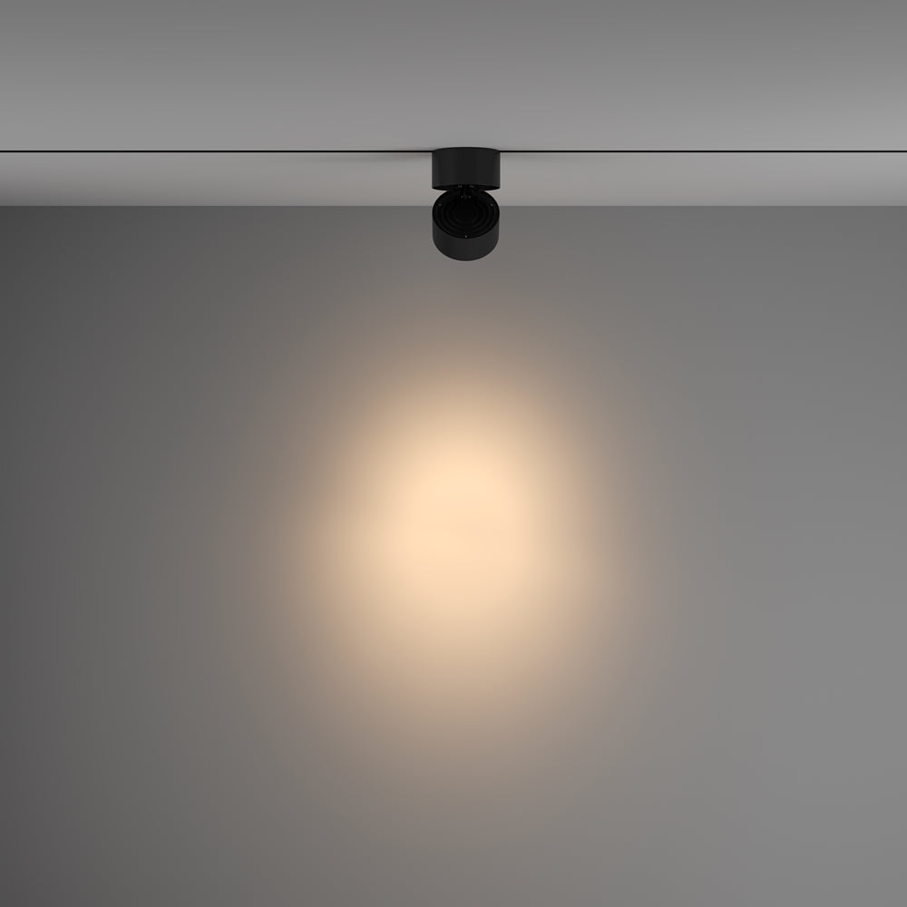 Yin Spot noir