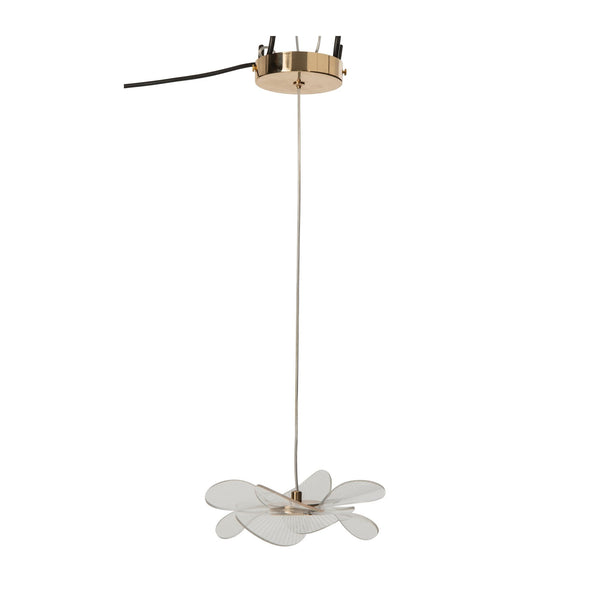 Suspension luminaire | Livfenilo
