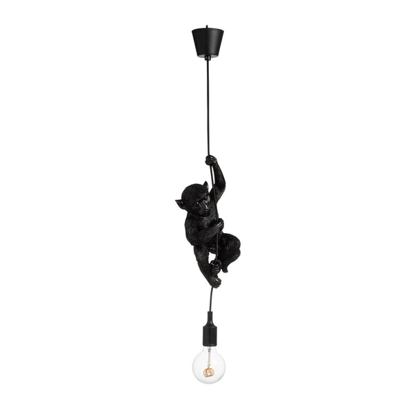 Suspension luminaire | Simia