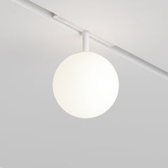 Spot LED | Globis