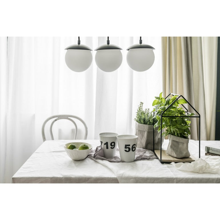 Mise en ambiance au-dessus d'une table dressée avec rideaux clairs et plantes vertes.