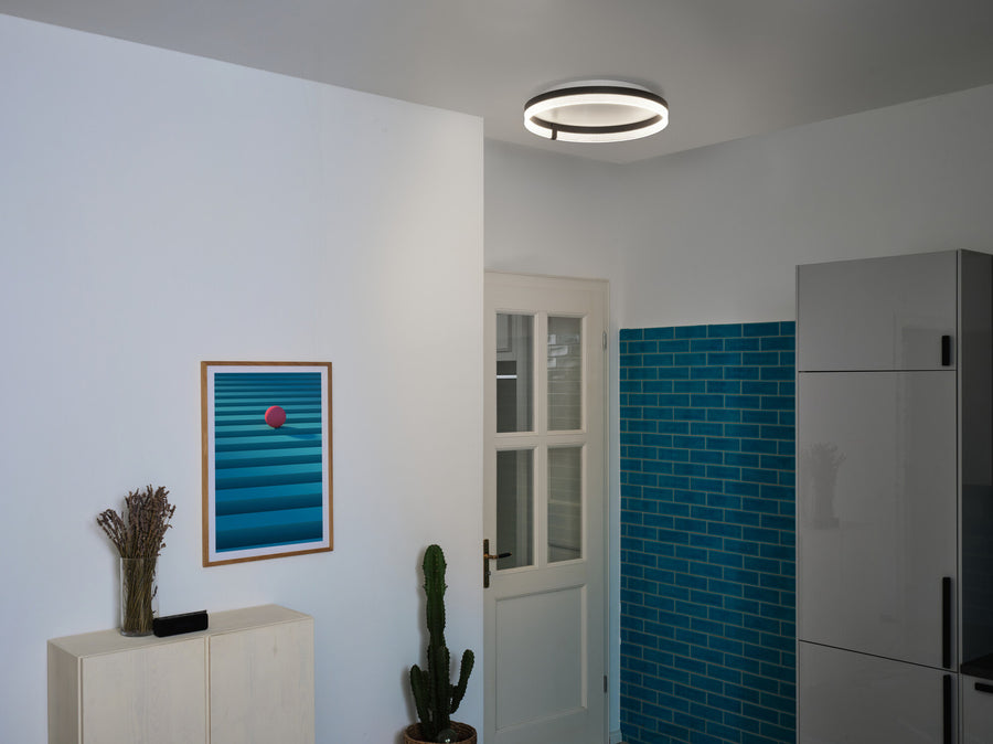 Le plafonnier allumé en lumière froide éclaire une entrée moderne.