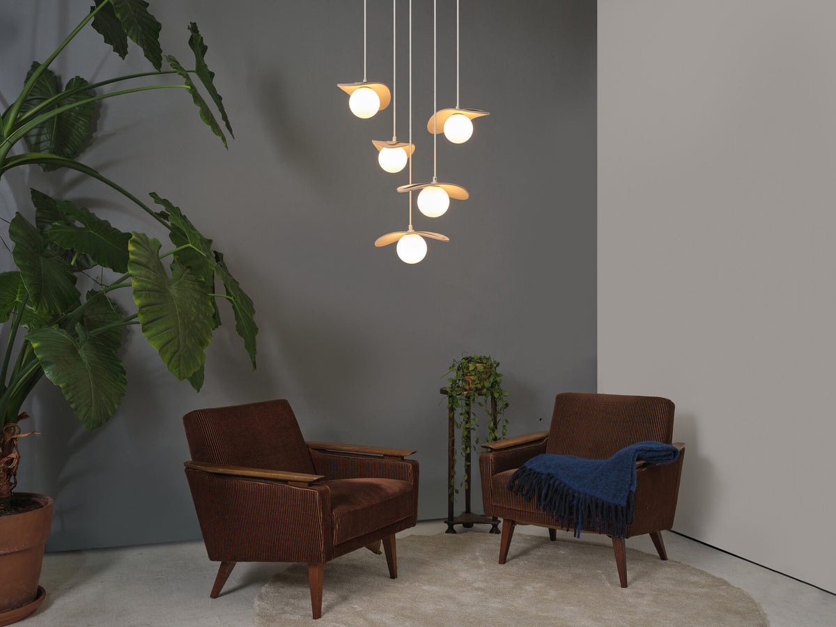 Mise en ambiance dans un salon avec fauteuils en velours brun et plante verte.